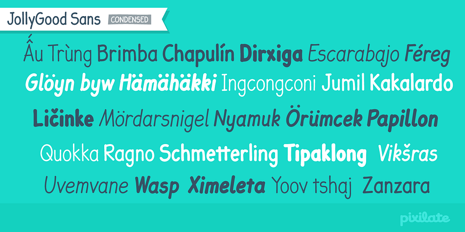 It has an amazing character set, with support for most European languages, as well as alternates and ligatures.