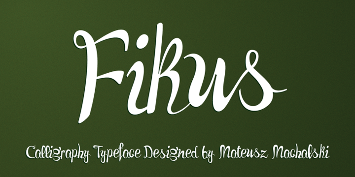 Calligraphy typeface designed by MATEUSZ MACHALSKI (BORUTTA.