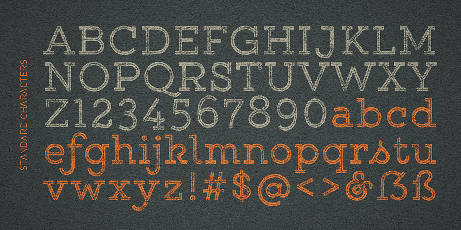 Displaying the beauty and characteristics of the Gist Rough font family.