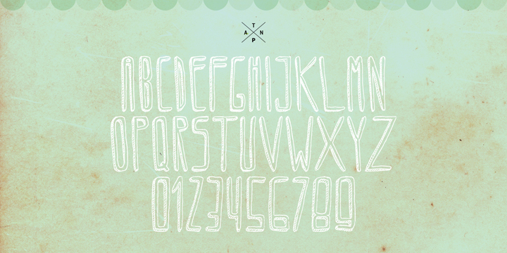 Displaying the beauty and characteristics of the Circoex font family.