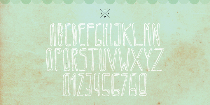 Displaying the beauty and characteristics of the Circoex font family.