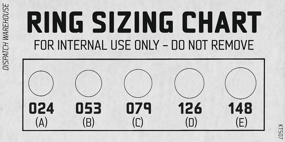 Regular, Bold, Italic and Bold Italic weights are all included.