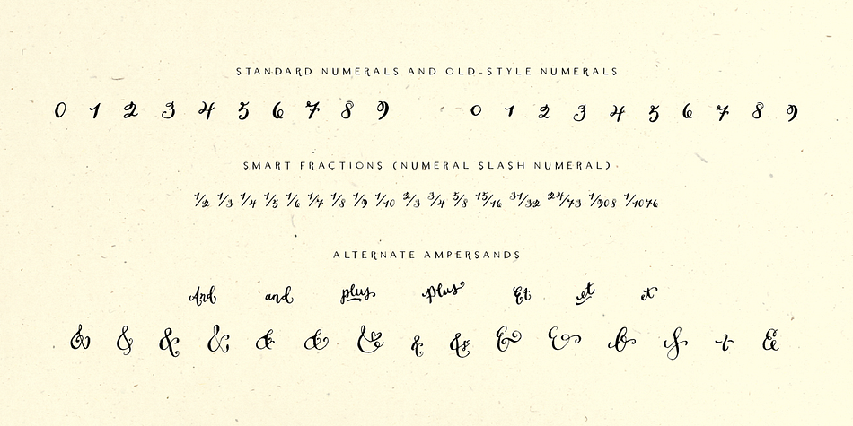Emphasizing the popular Dasha font family.