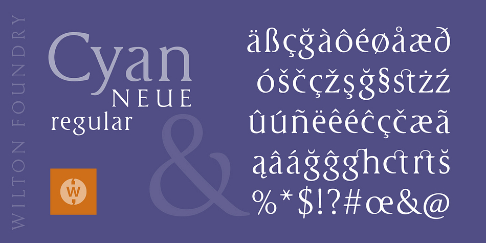 It shows a preference for geometric Roman proportions while incorporating open centers (B,P,R) and compact serifs.