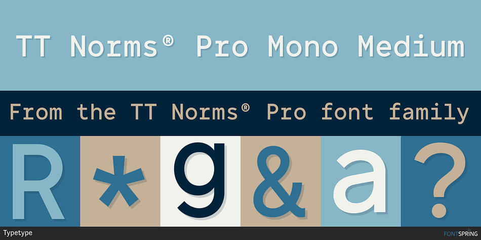 TT Norms® Pro Mono Medium Font