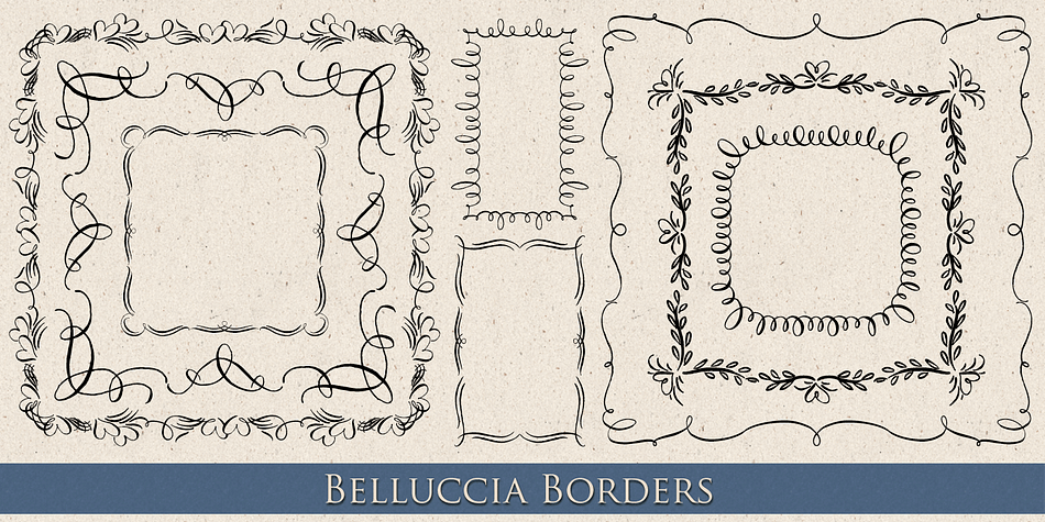 By purchasing the Belluccia Pro font package, you will receive both the Pro and Standard versions.