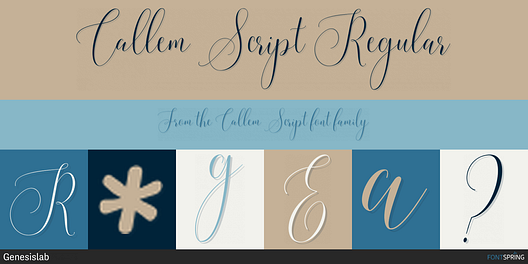 Fonts similar to Callem Script