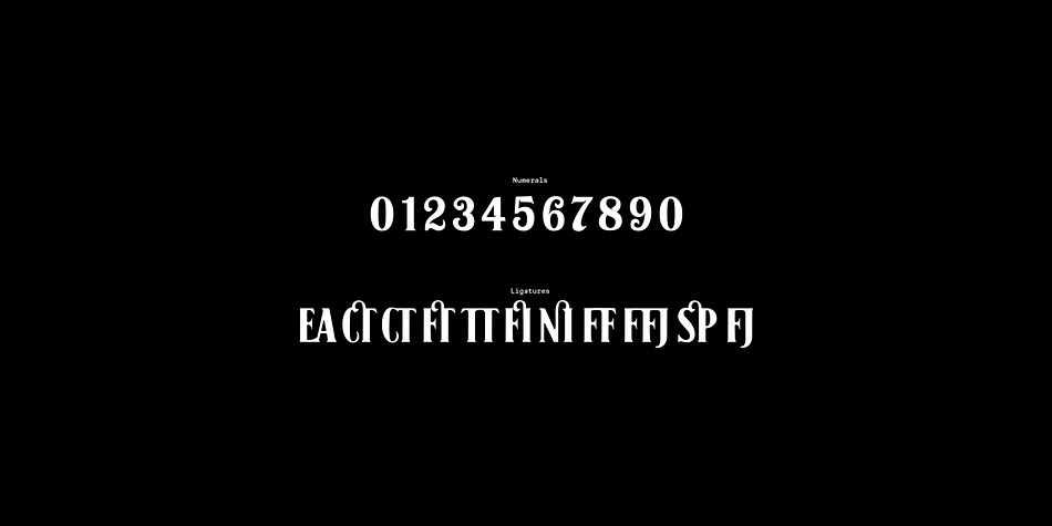 Highlighting the Black No. 7 font family.