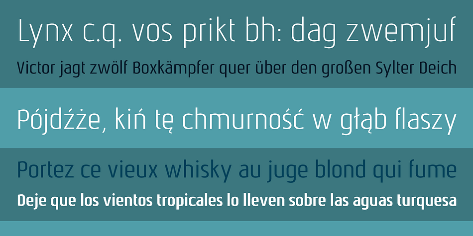 Nautikka font family example.