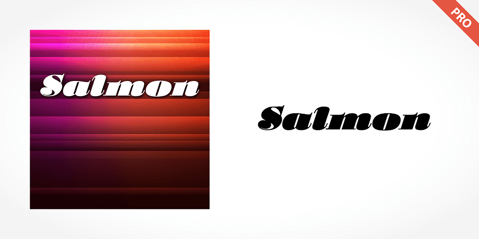 Displaying the beauty and characteristics of the Salmon Pro font family.