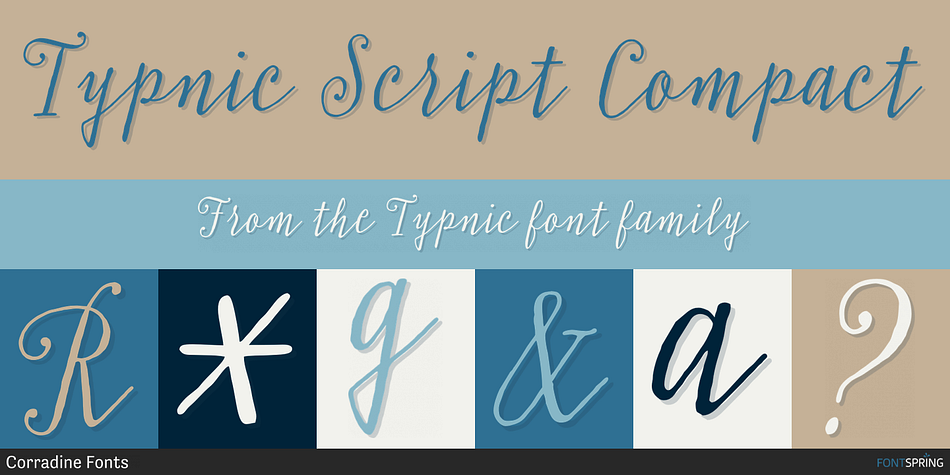 Typnic Script Compact Font