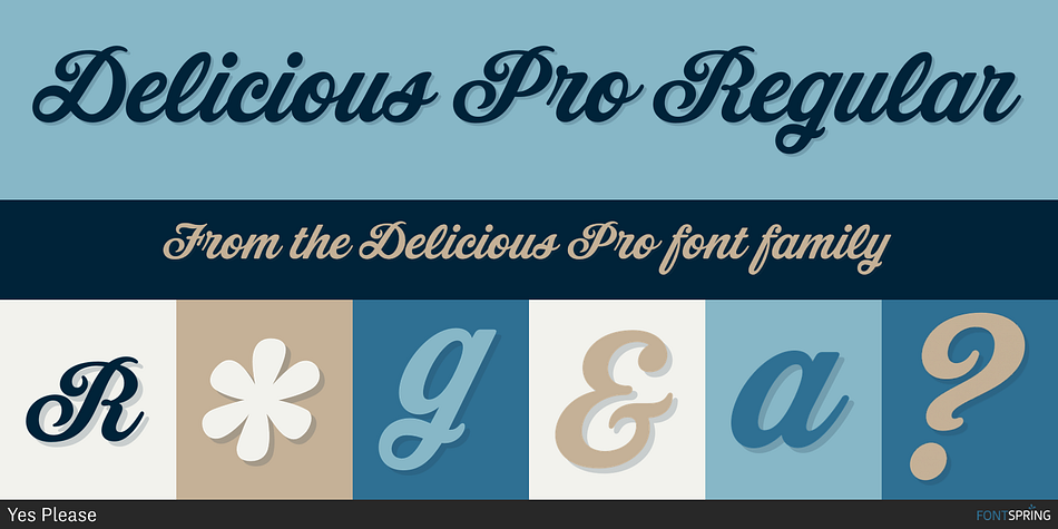 Delicious Pro Regular Font