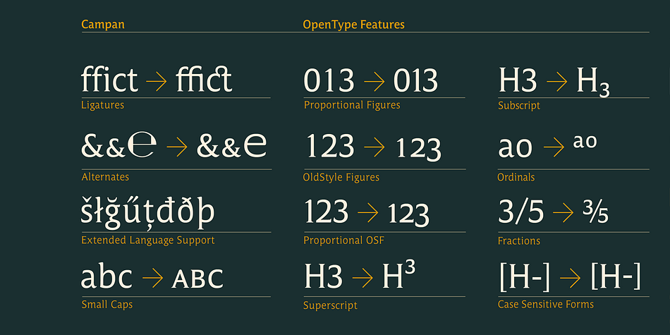 It comes in OpenType format with extended language support.