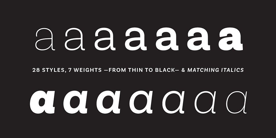 Emphasizing the popular Basic Sans font family.