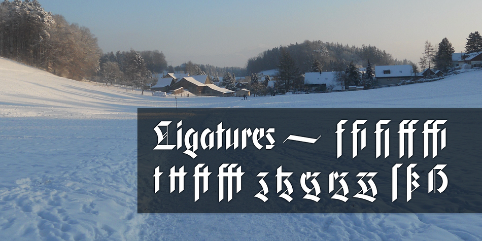 Apart from a generous range of automatic ligatures and contextual alternates, Gryffensee offers stylistic alternates that allow users to customize its appearance to their tastes.