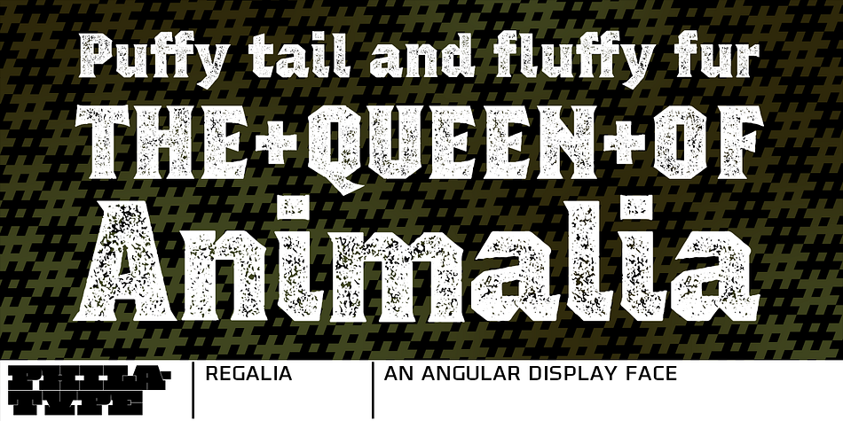 Displaying the beauty and characteristics of the Regalia font family.