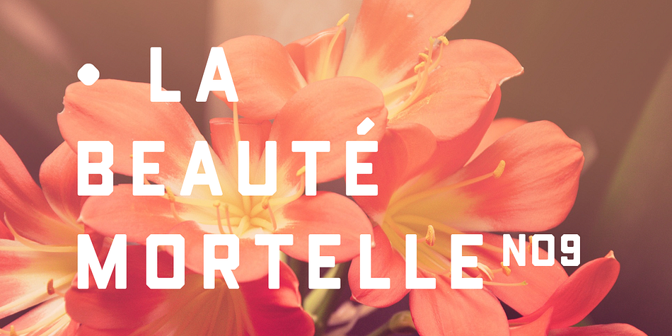 Highlighting the Conifer font family.