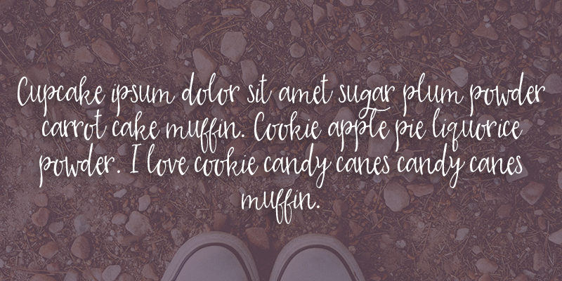 Highlighting the Milly font family.
