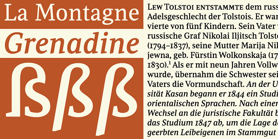 The roman Leo fonts were built with as little ornamentation as possible, with wedge serifs, a high x-height and a skeleton somehwat rooted in the designers