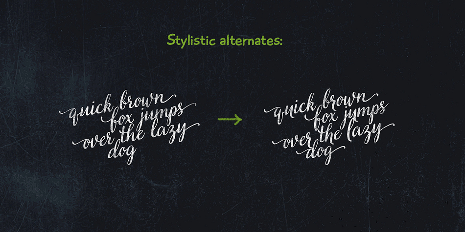 Displaying the beauty and characteristics of the Veryberry Pro font family.