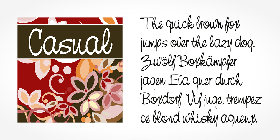 Emphasizing the popular Casual Pro font family.