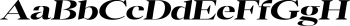 Segidua Extraexpanded Slant mini