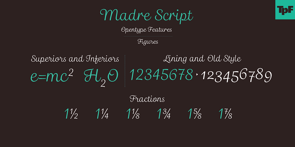 Displaying the beauty and characteristics of the Madre Script font family.