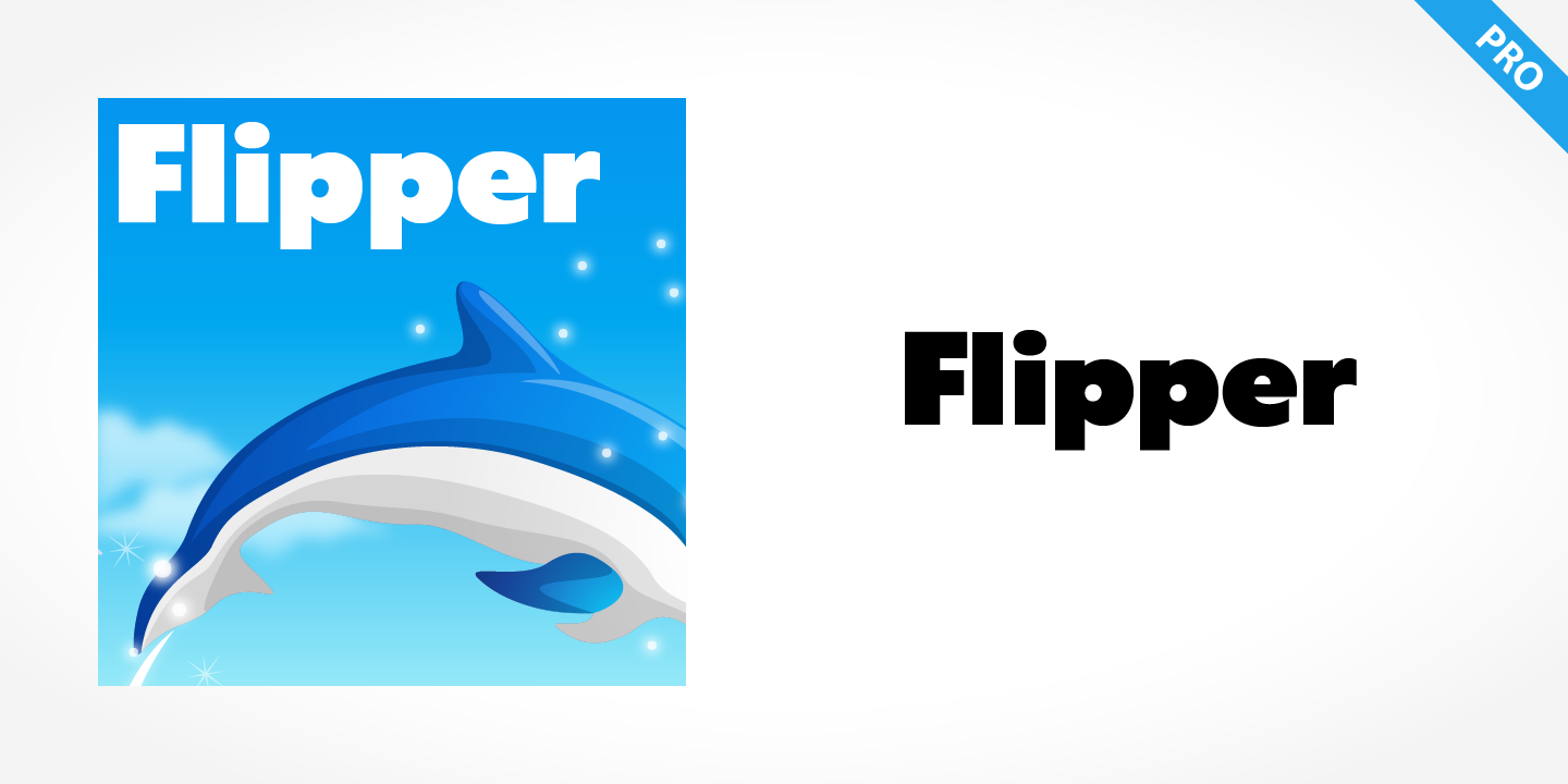 Flipper Pro