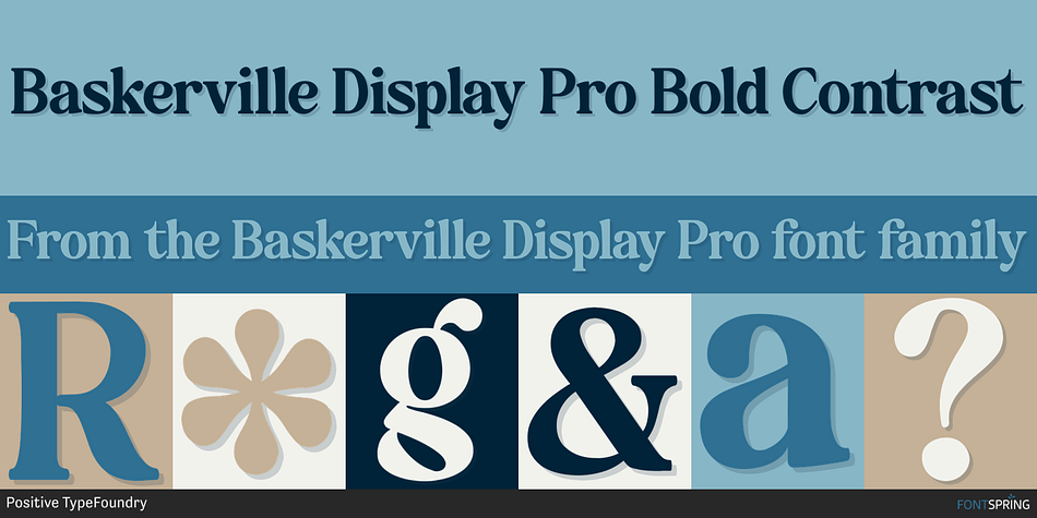 Baskerville Display Pro Bold Contrast Font