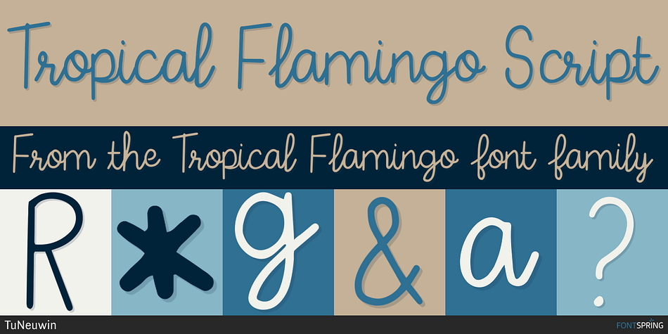 Tropical Flamingo Script Font