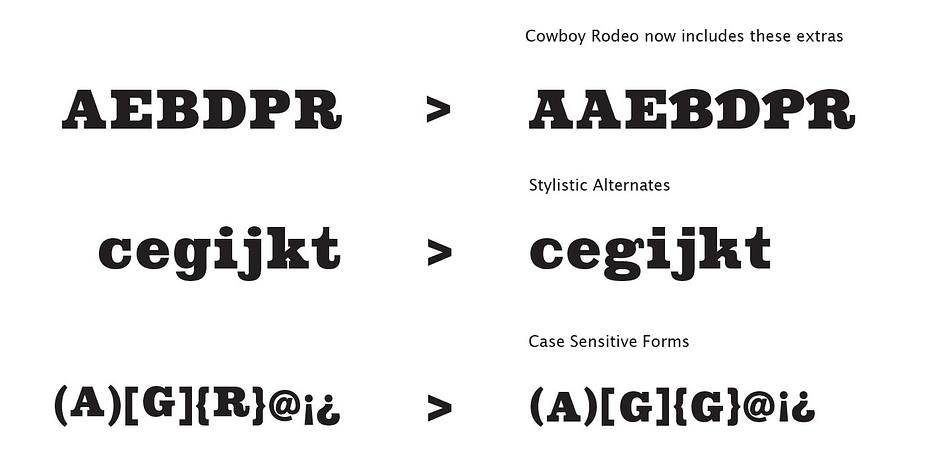 Cowboy Rodeo font family sample image.