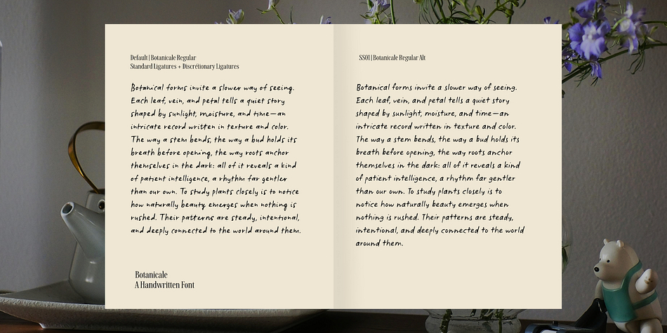 Botanicale Font