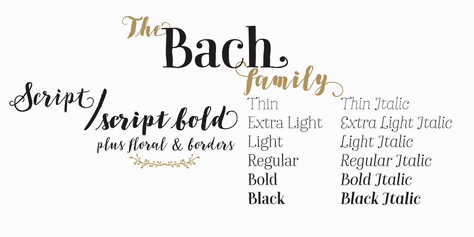 Bach Script is based on the calligraphic catchwords set (handcrafted with brush pen) and the Serif version of the Garden typeface.