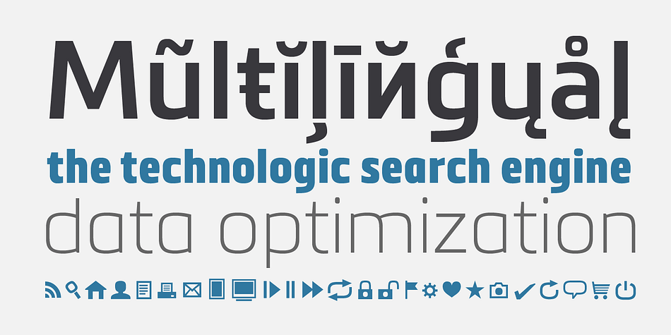 Metronic Pro has a wide range of OpenType features such as: old style and proportional figures, ligatures, case sensitive forms, fractions, stylistic alternates, arrows and an icons/ornaments set.