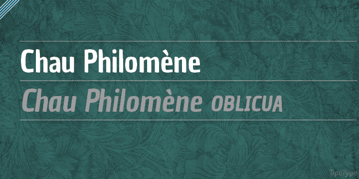 Displaying the beauty and characteristics of the Chau Philomne font family.