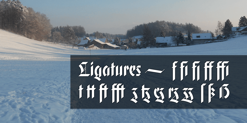 Apart from a generous range of automatic ligatures and contextual alternates, Gryffensee offers stylistic alternates that allow users to customize its appearance to their tastes.
