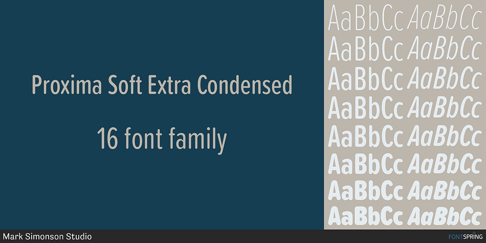 - Same 48 weights/styles as Proxima Nova
- Same language coverage (including Greek and Cyrillic)
- Same alternate characters (a, l, y, G, 1, 0)
- Proportional and tabular figures
- Fraction support
- Ordinal support
- Case sensitive forms.