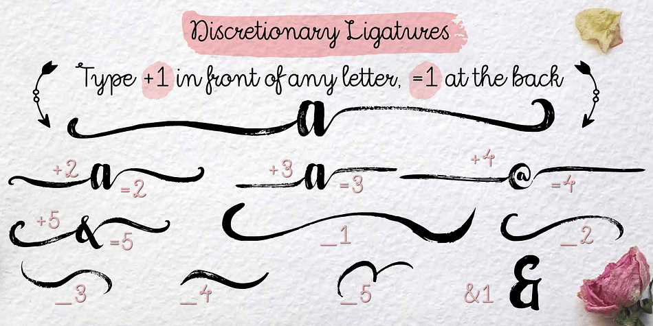 For the best connections, activate Discretionary Ligatures and Contextual Alternates.