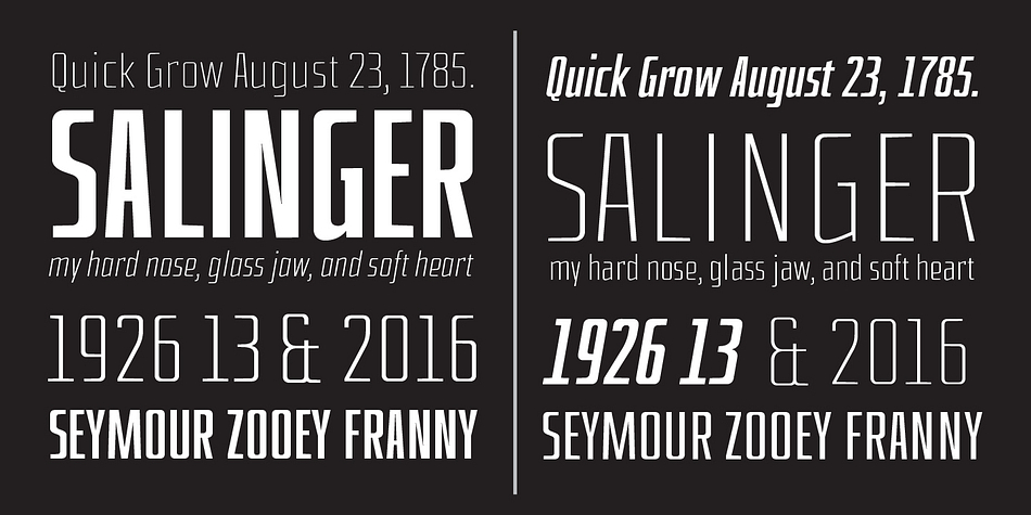 Hercílio is a eleven font, sans serif and display sans family by Sea Types.