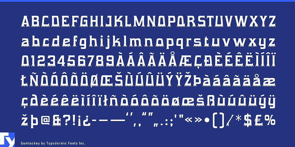 Displaying the beauty and characteristics of the Gumtuckey font family.