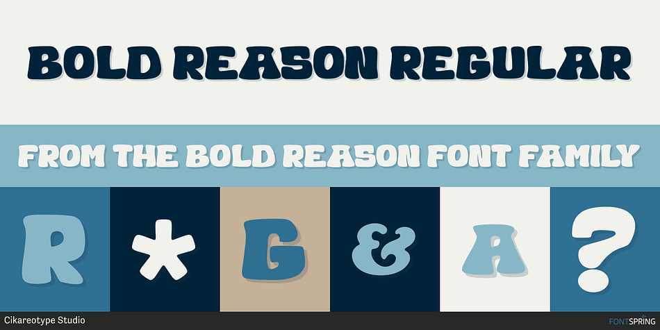 Bold Reason Regular Font