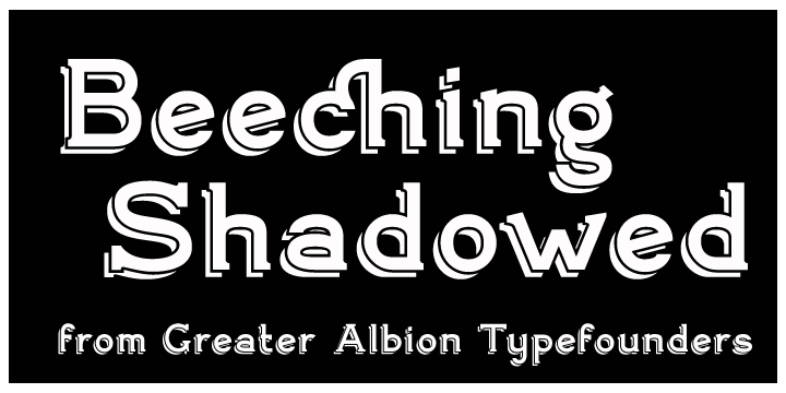 Displaying the beauty and characteristics of the Beeching font family.