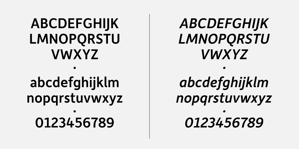 Displaying the beauty and characteristics of the Depot New font family.