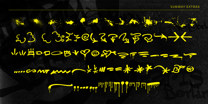 Displaying the beauty and characteristics of the Subway Types font family.