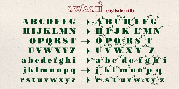 Displaying the beauty and characteristics of the LiebeDoni font family.