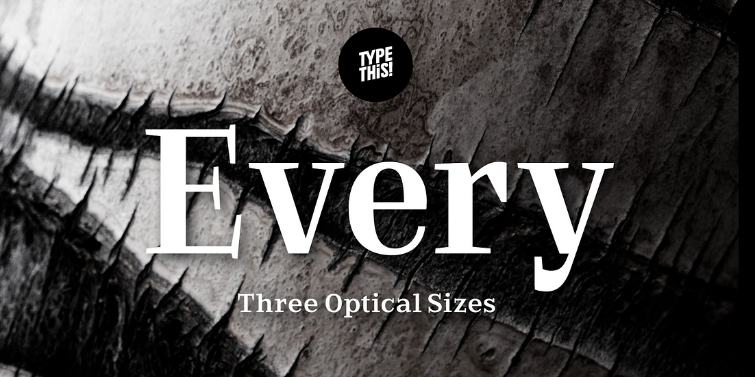 Every Font Poster