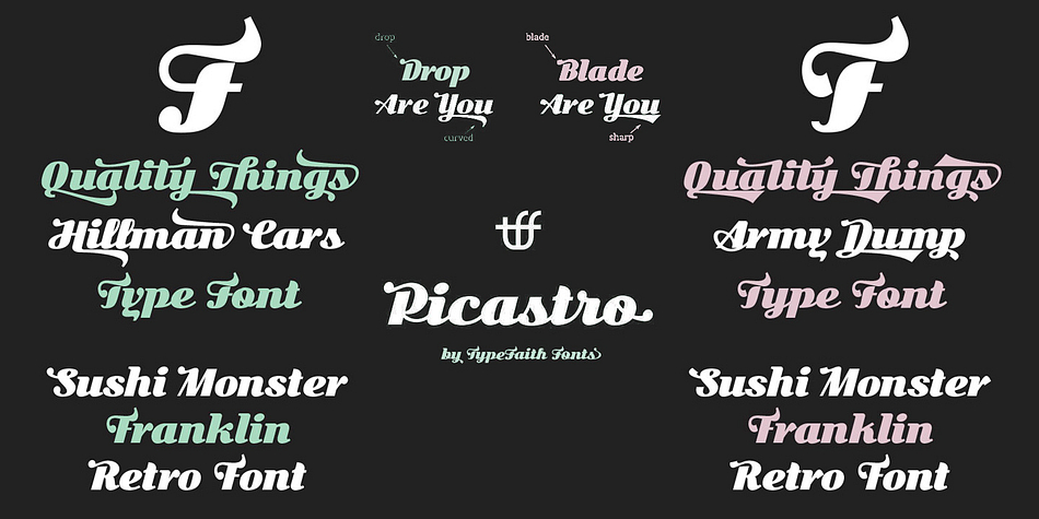 Displaying the beauty and characteristics of the Picastro font family.