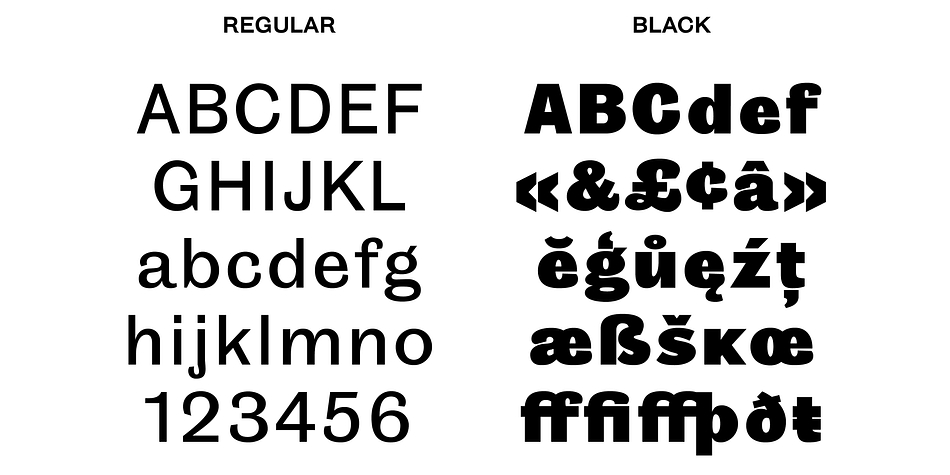 Displaying the beauty and characteristics of the Grotesque 6 font family.
