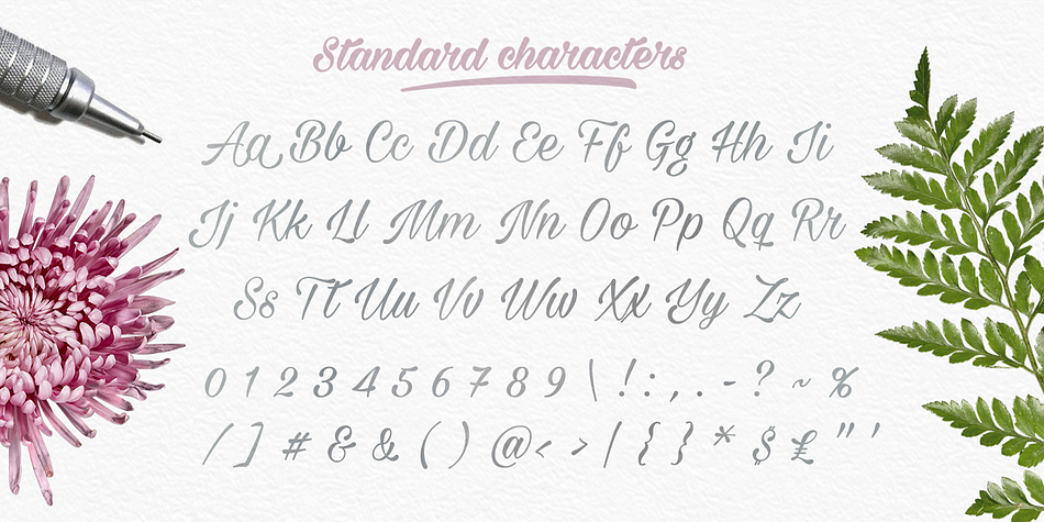 Milasian contains a supporting, vast range of ligatures and glyphs for a practical, hand-lettered look.