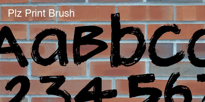 Plz Print Brush is a good solid font for posters, headlines and accent words like - SALE!